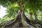 © Vera Kuttelvaserova - fotolia.com