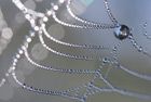 © Marek M - fotolia.com